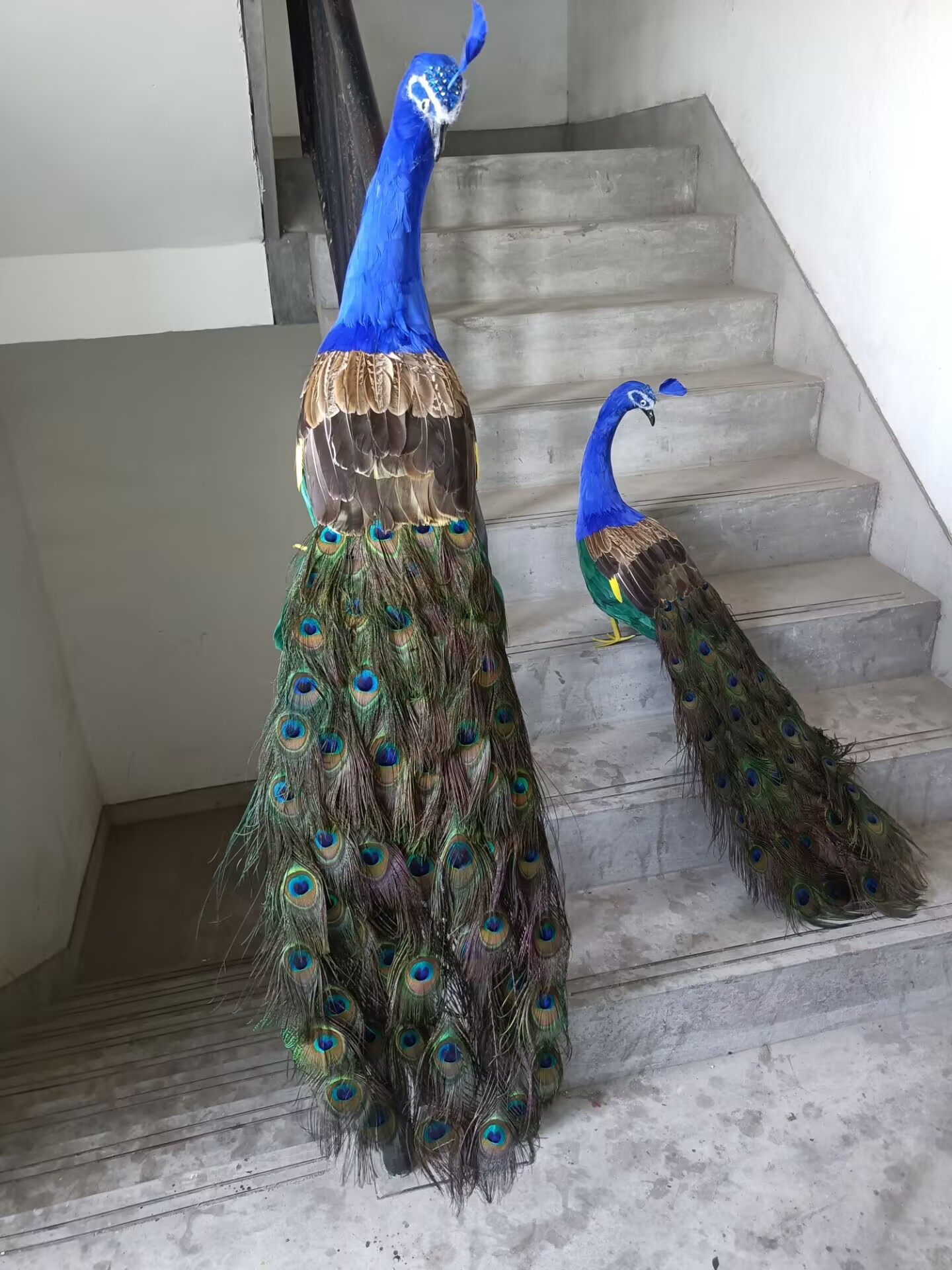 โมเดลนกยูงเสมือนจริงขนาด 105 ซ - Home Decor Design Ideas บทวิจารณ์และราคา